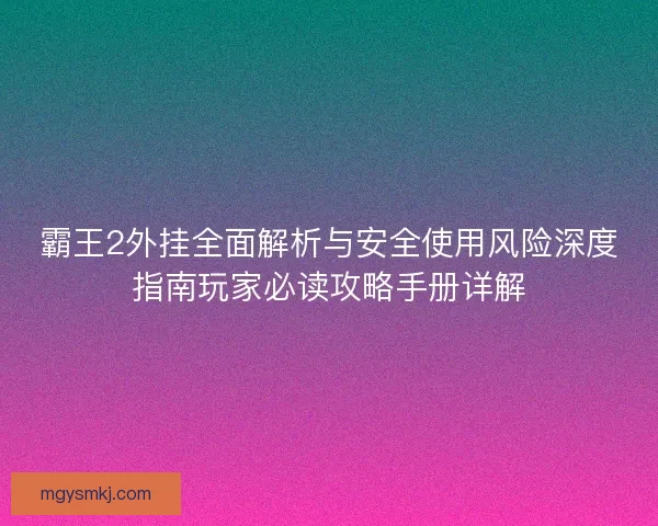霸王2外挂全面解析与安全使用风险深度指南玩家必读攻略手册详解